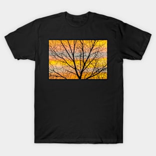 Caged Sunrise T-Shirt